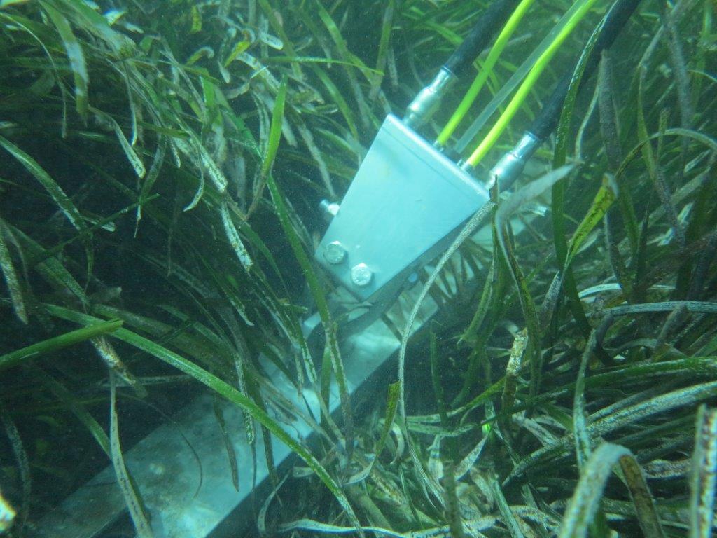 Green environment Seaflex